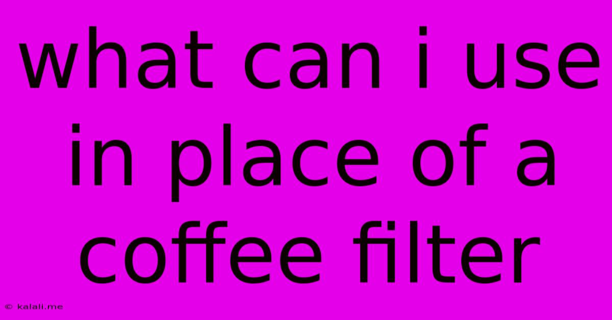 What Can I Use In Place Of A Coffee Filter