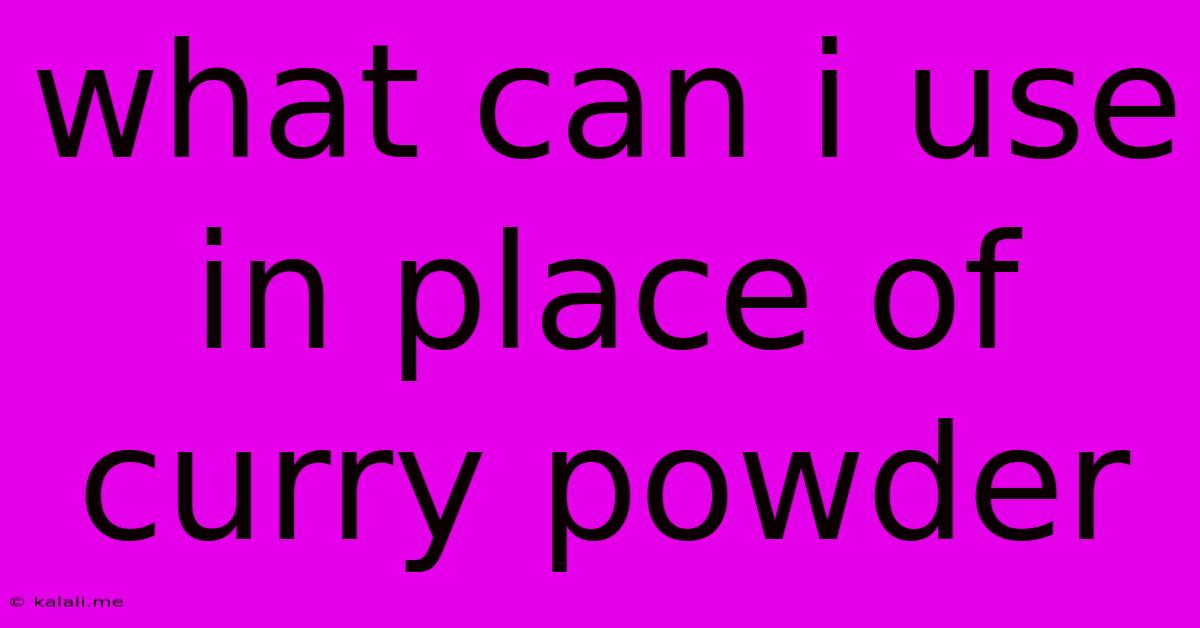 What Can I Use In Place Of Curry Powder