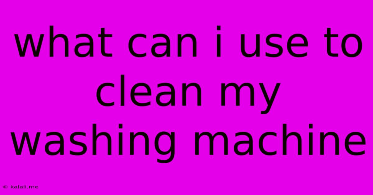 What Can I Use To Clean My Washing Machine