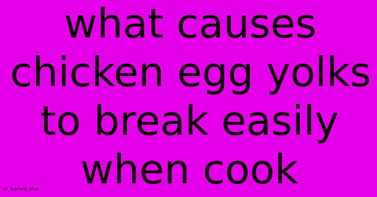 What Causes Chicken Egg Yolks To Break Easily When Cook