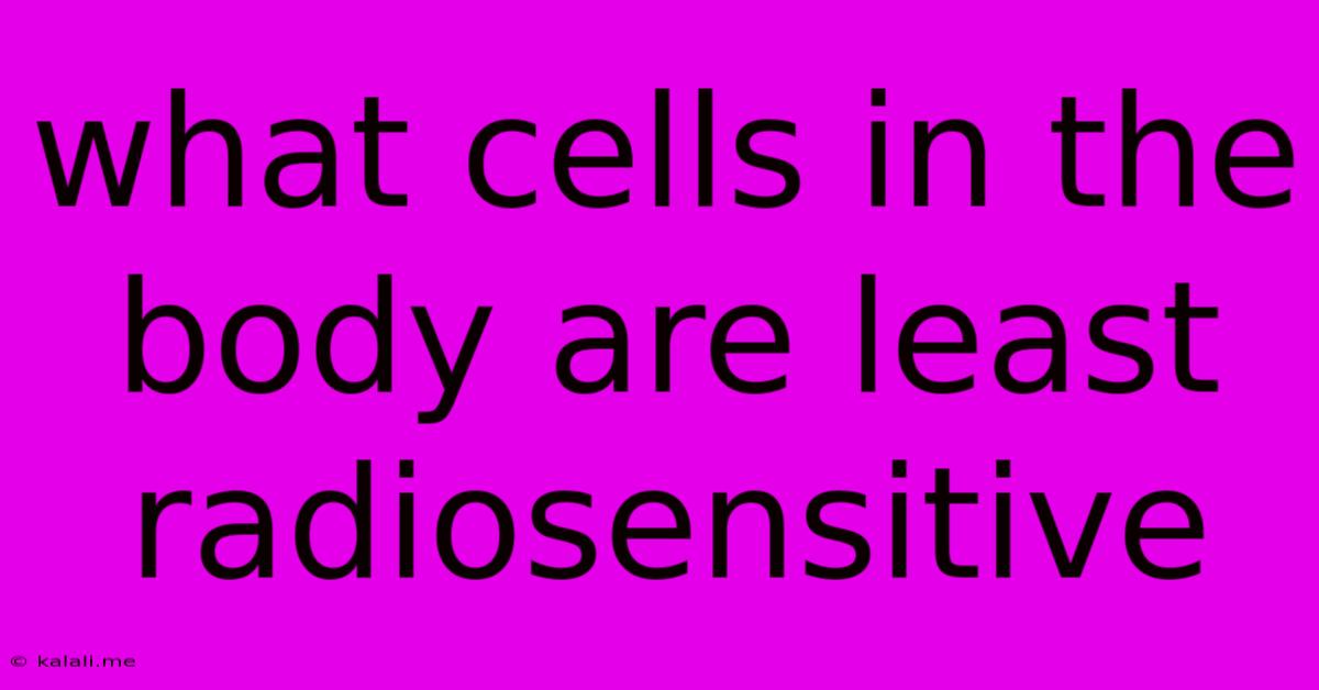 What Cells In The Body Are Least Radiosensitive