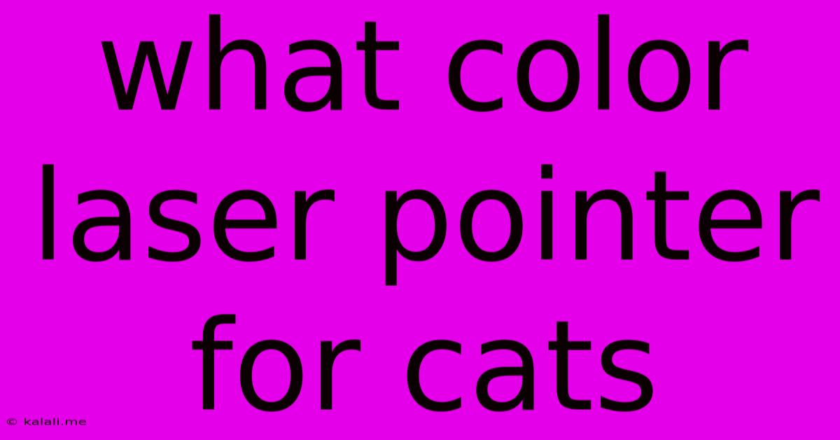 What Color Laser Pointer For Cats