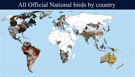 What Country Has The Most Birds