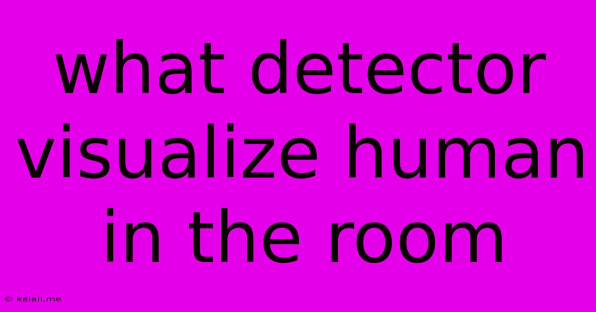 What Detector Visualize Human In The Room