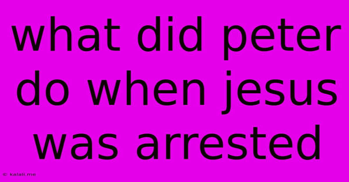 What Did Peter Do When Jesus Was Arrested