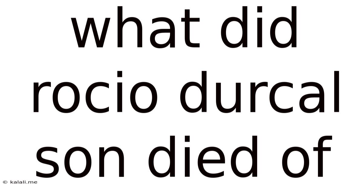 What Did Rocio Durcal Son Died Of