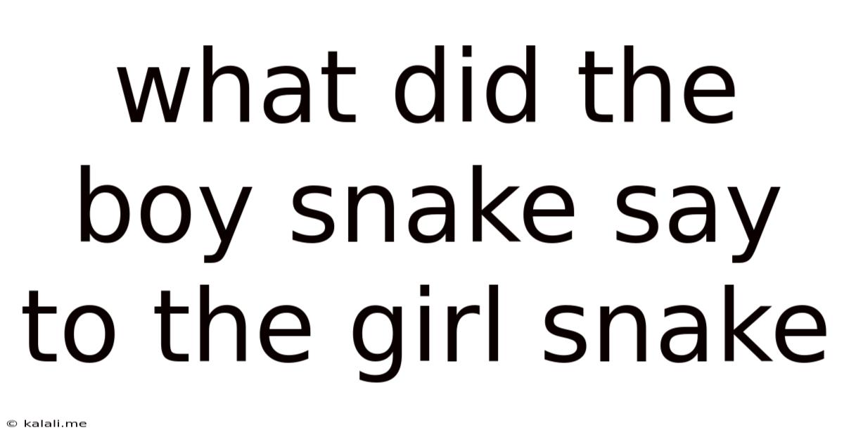 What Did The Boy Snake Say To The Girl Snake