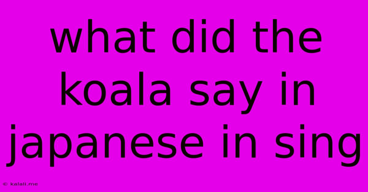 What Did The Koala Say In Japanese In Sing