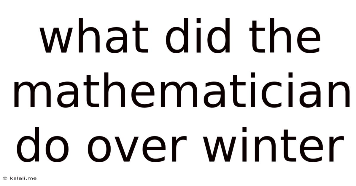 What Did The Mathematician Do Over Winter
