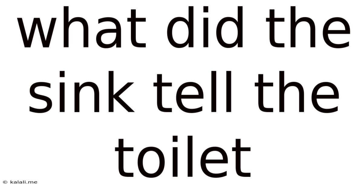 What Did The Sink Tell The Toilet
