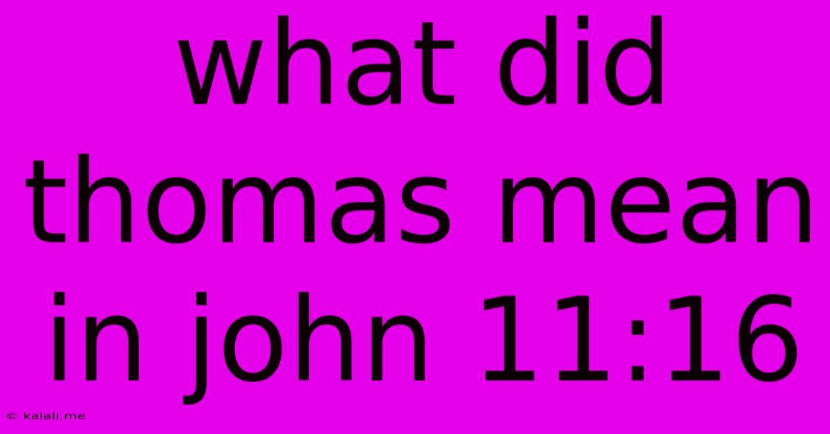 What Did Thomas Mean In John 11:16
