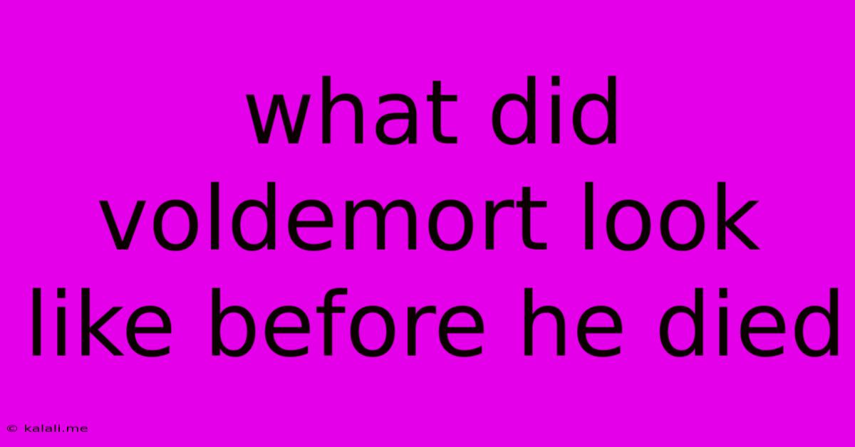 What Did Voldemort Look Like Before He Died