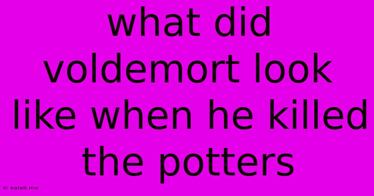 What Did Voldemort Look Like When He Killed The Potters