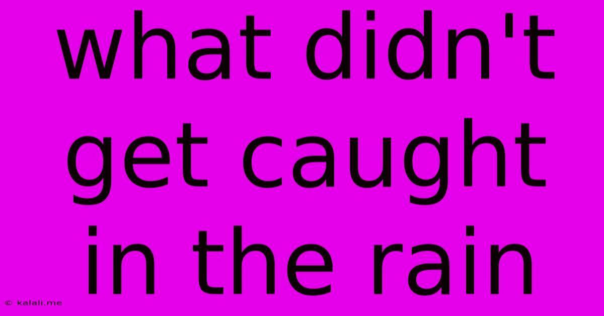 What Didn't Get Caught In The Rain