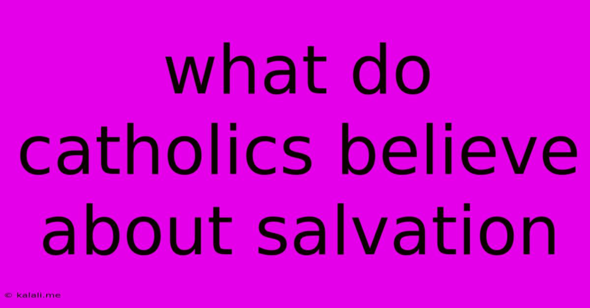 What Do Catholics Believe About Salvation