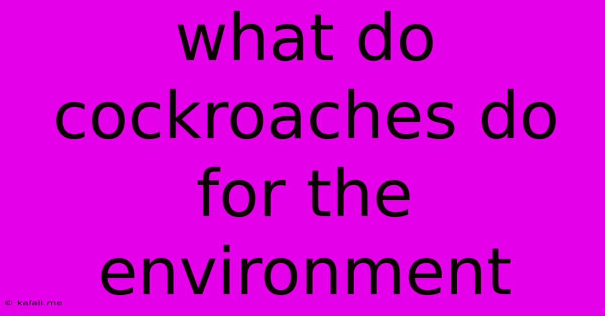 What Do Cockroaches Do For The Environment