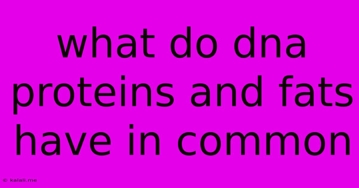 What Do Dna Proteins And Fats Have In Common