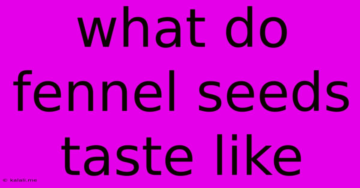 What Do Fennel Seeds Taste Like