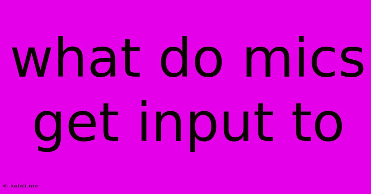 What Do Mics Get Input To