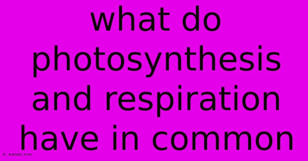 What Do Photosynthesis And Respiration Have In Common