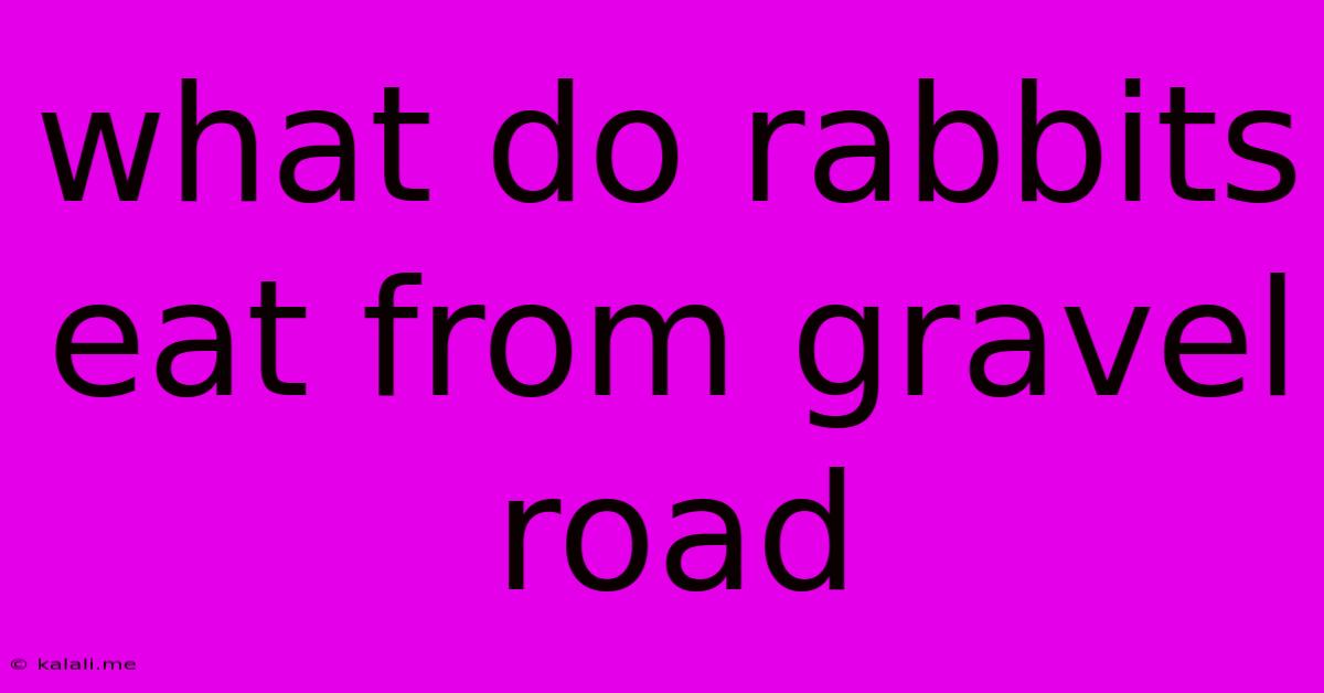 What Do Rabbits Eat From Gravel Road