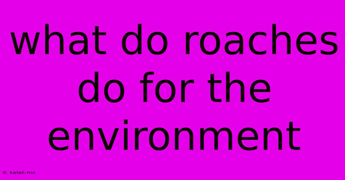 What Do Roaches Do For The Environment