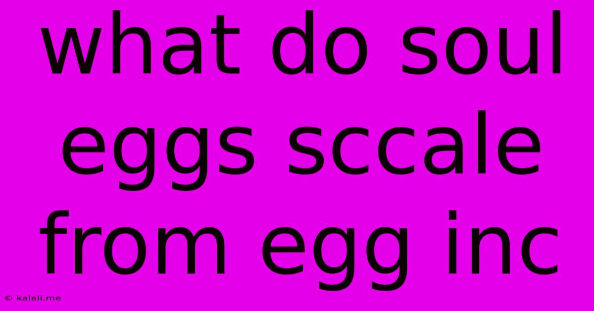 What Do Soul Eggs Sccale From Egg Inc
