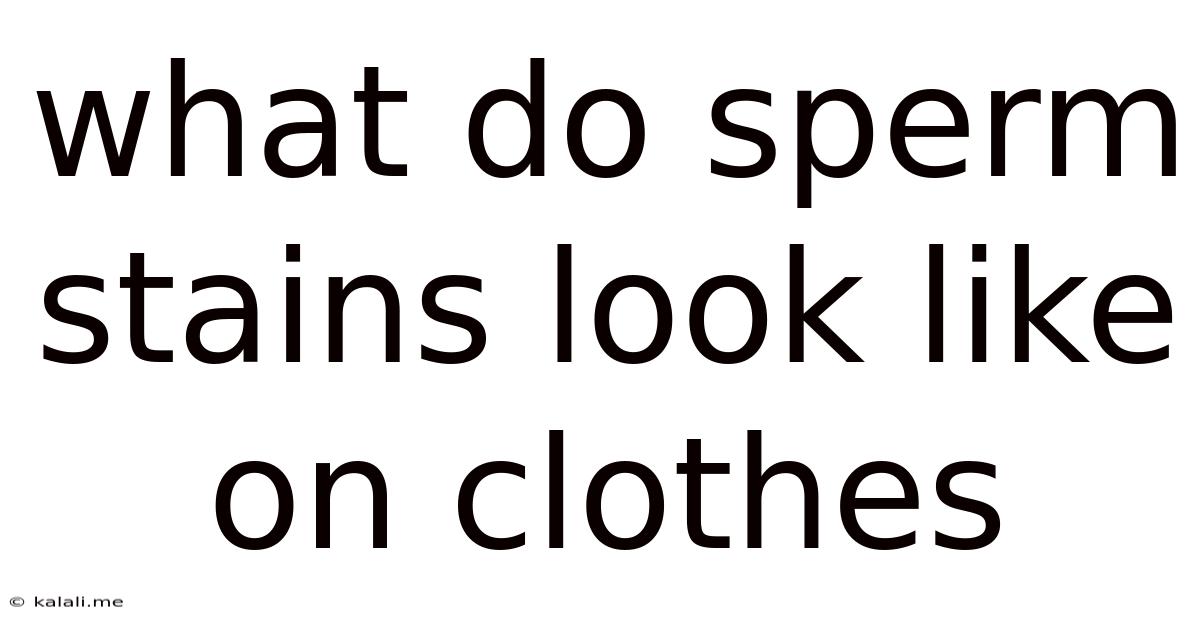 What Do Sperm Stains Look Like On Clothes