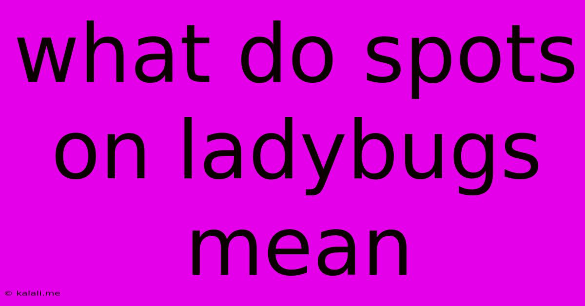 What Do Spots On Ladybugs Mean
