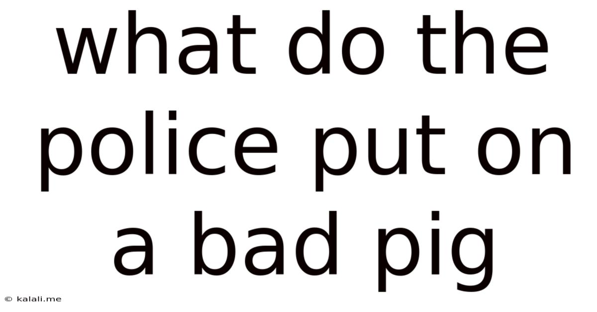 What Do The Police Put On A Bad Pig