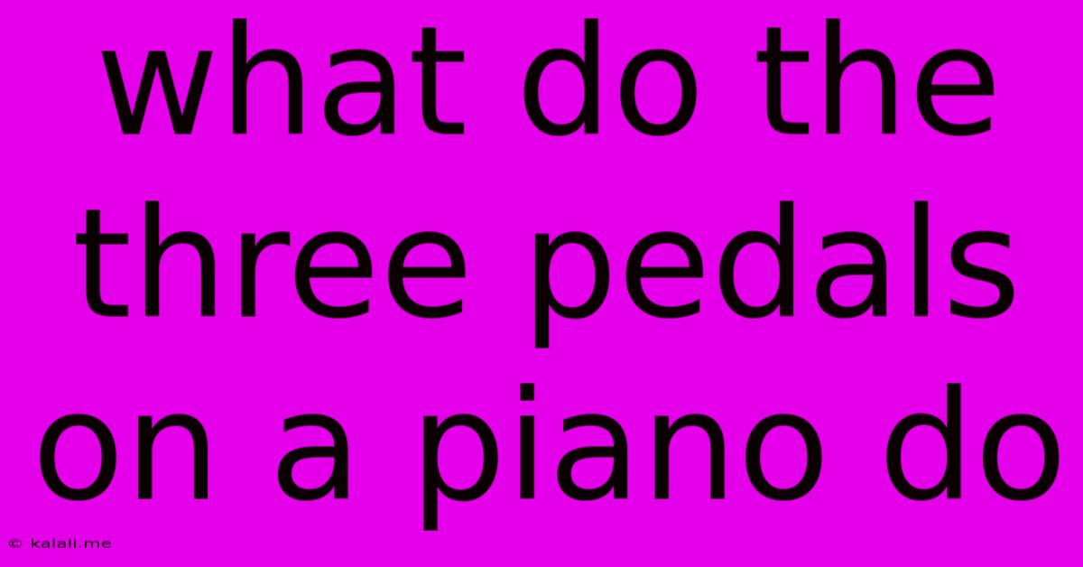 What Do The Three Pedals On A Piano Do