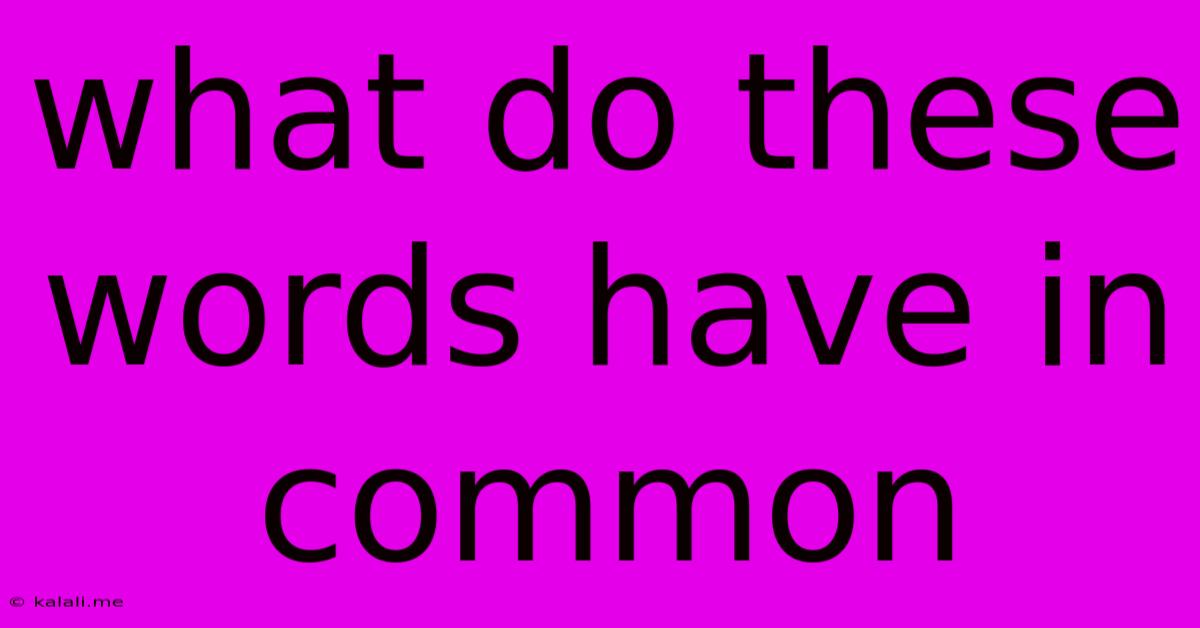 What Do These Words Have In Common