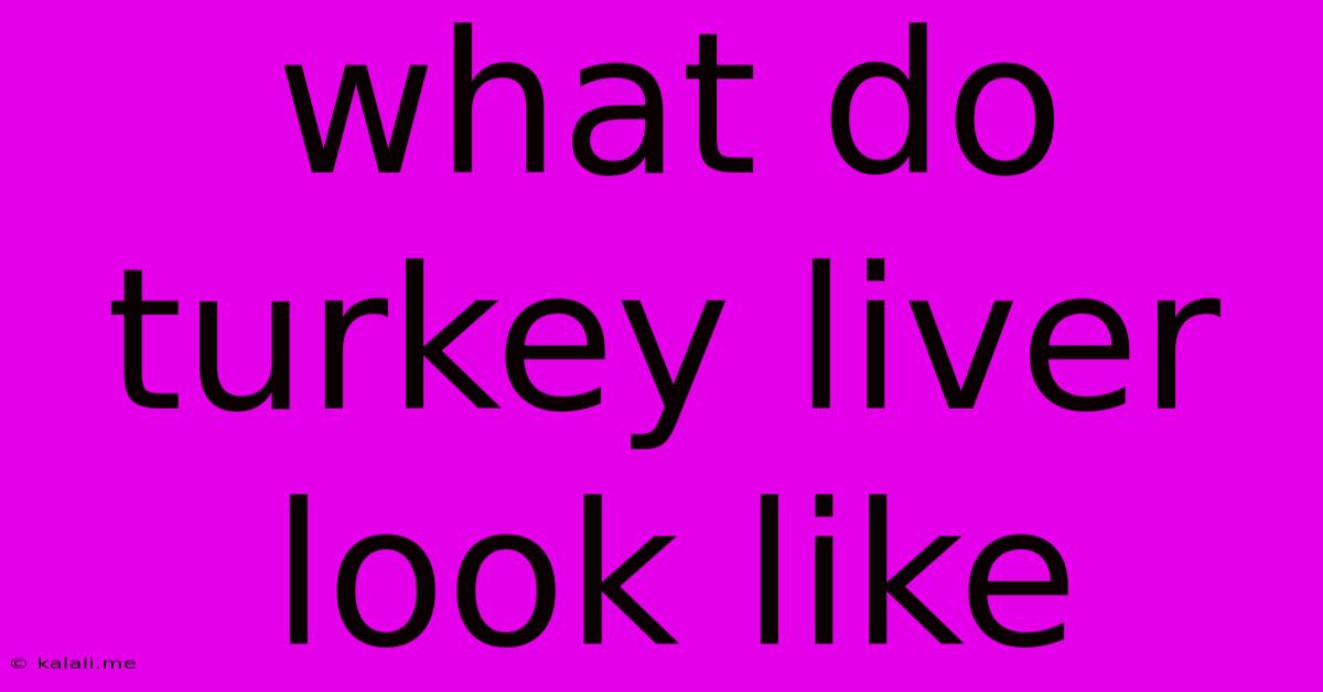 What Do Turkey Liver Look Like