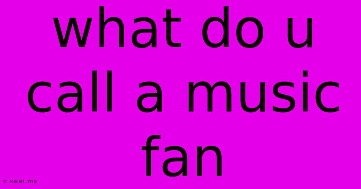 What Do U Call A Music Fan