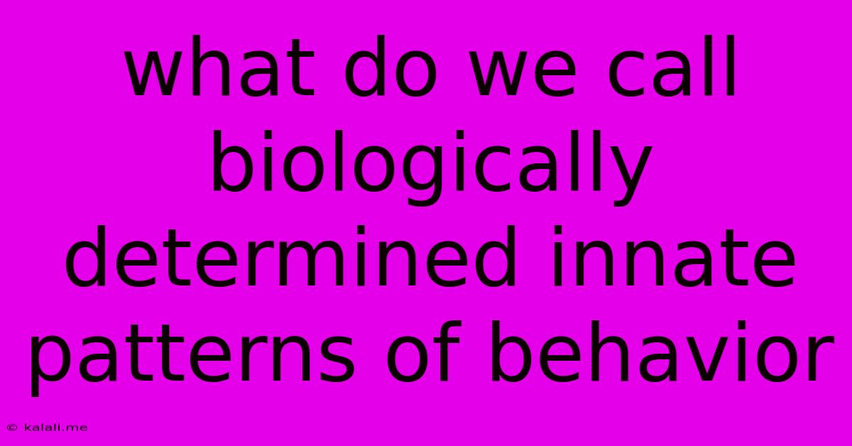 What Do We Call Biologically Determined Innate Patterns Of Behavior