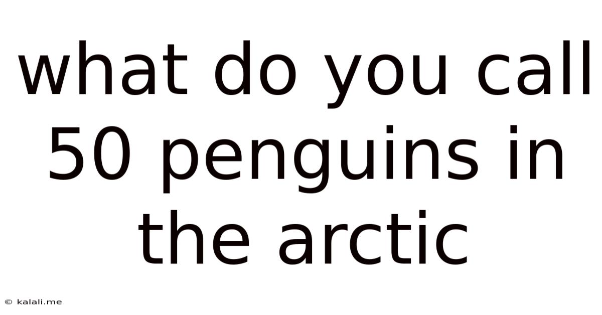 What Do You Call 50 Penguins In The Arctic