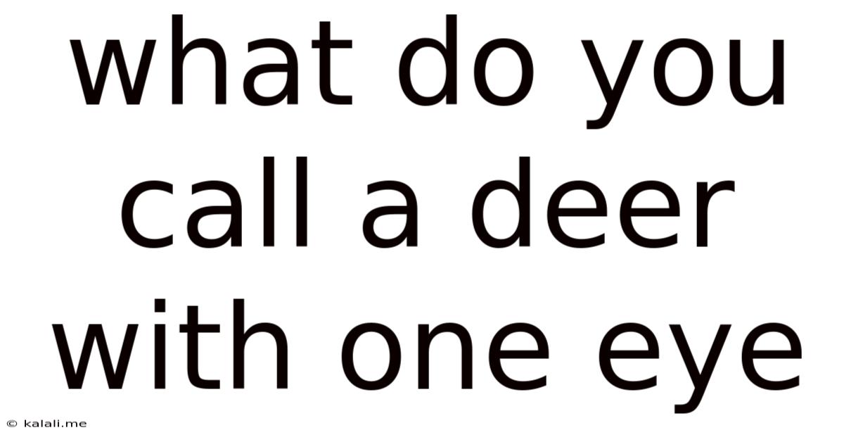 What Do You Call A Deer With One Eye