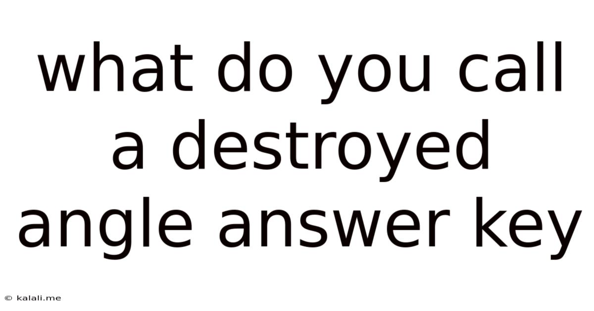 What Do You Call A Destroyed Angle Answer Key