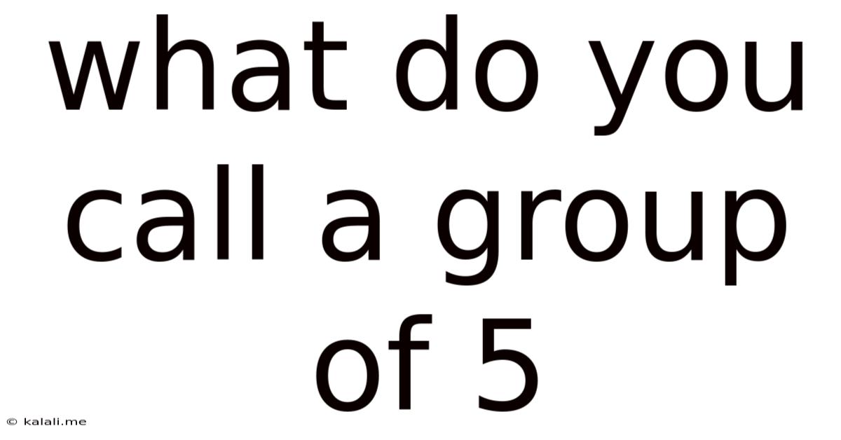 What Do You Call A Group Of 5