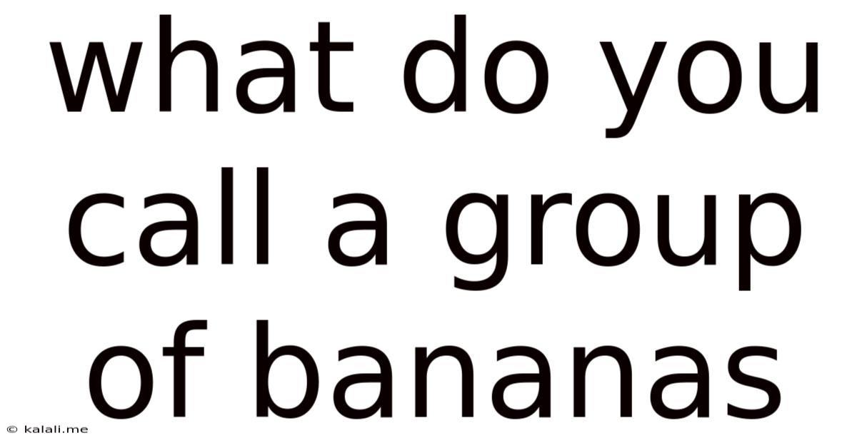 What Do You Call A Group Of Bananas
