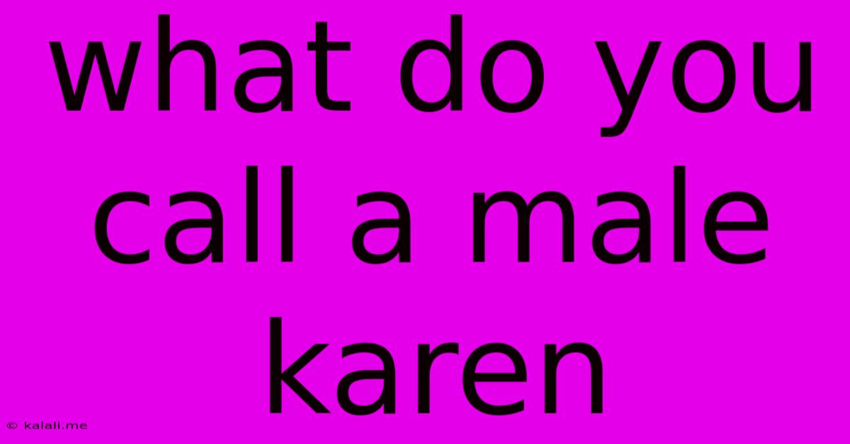 What Do You Call A Male Karen