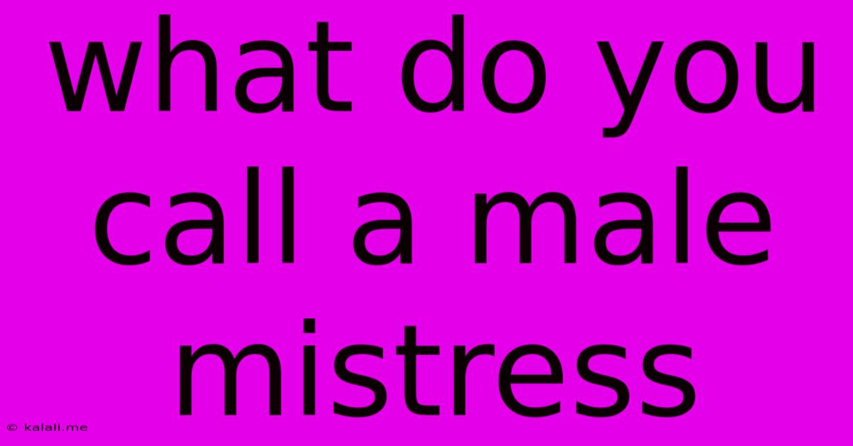 What Do You Call A Male Mistress