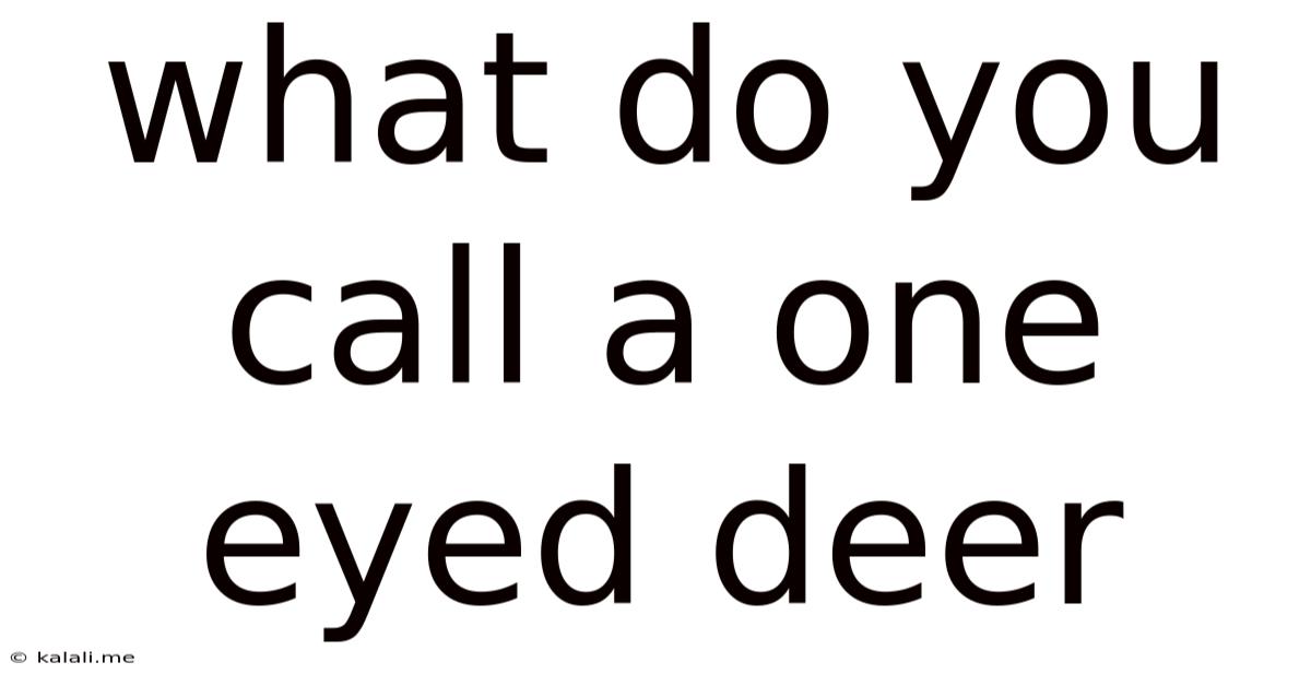 What Do You Call A One Eyed Deer