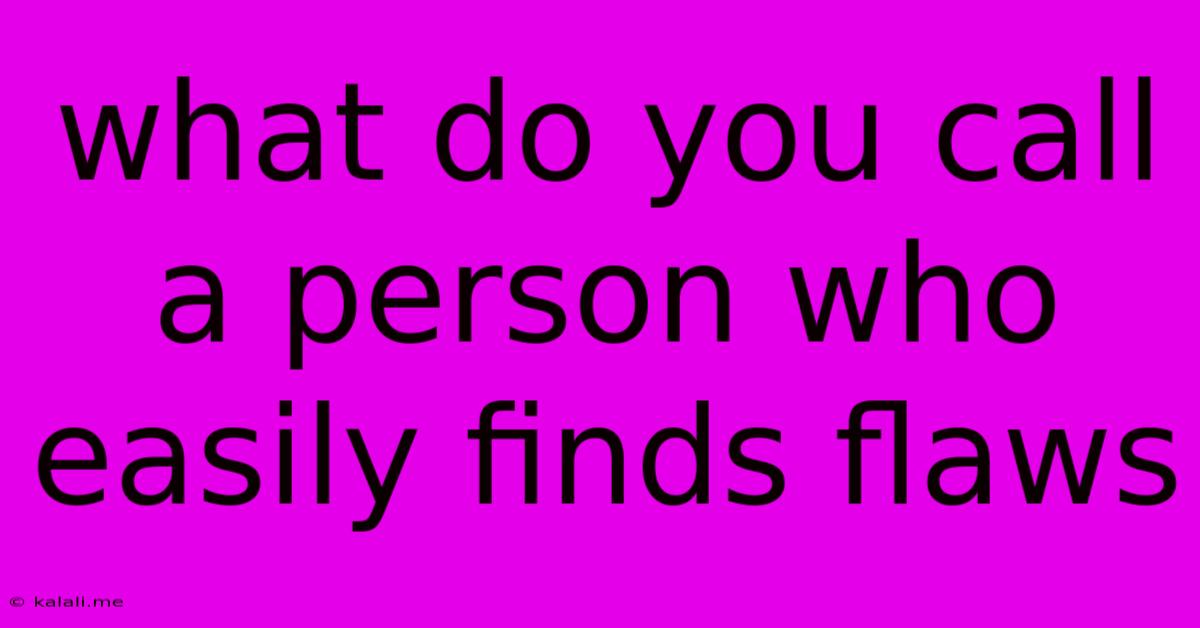 What Do You Call A Person Who Easily Finds Flaws