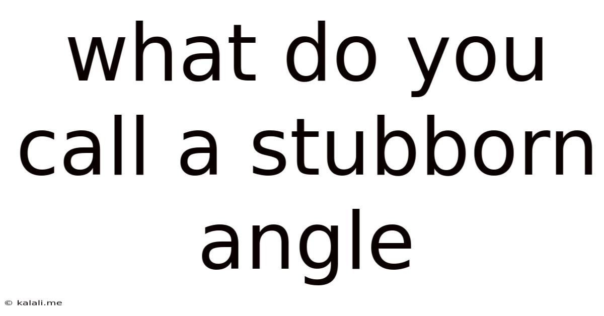 What Do You Call A Stubborn Angle