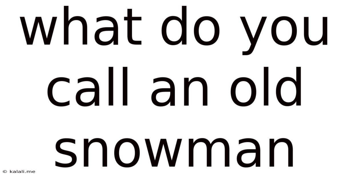 What Do You Call An Old Snowman