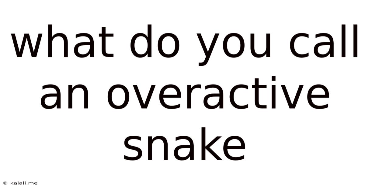 What Do You Call An Overactive Snake
