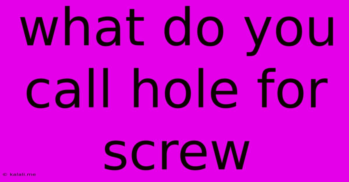 What Do You Call Hole For Screw