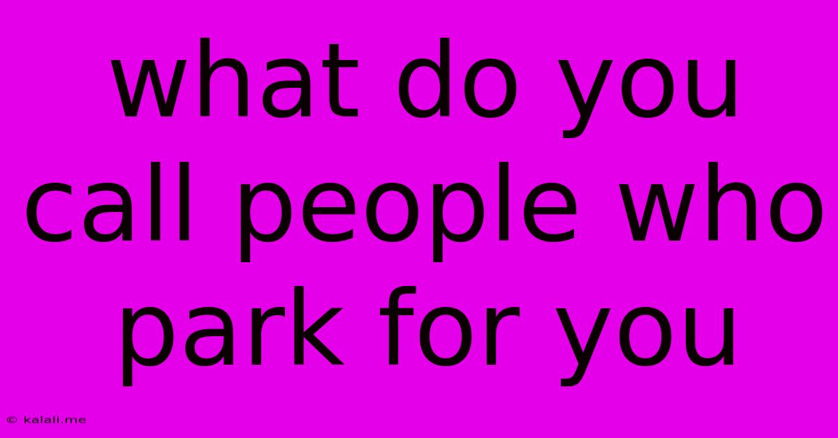 What Do You Call People Who Park For You