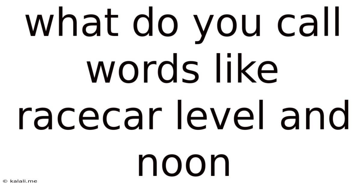 What Do You Call Words Like Racecar Level And Noon